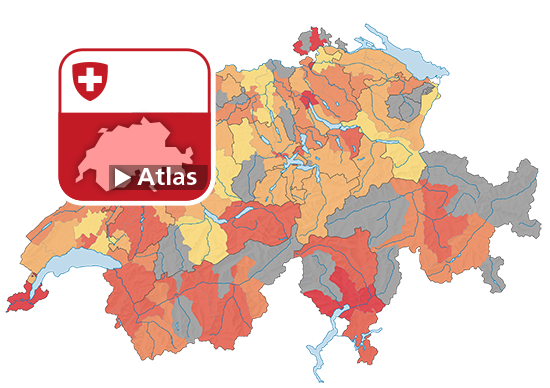 Strafgesetzbuch (StGB): Häufigkeitszahl Körperverletzung (Art. 122, 123), 2017