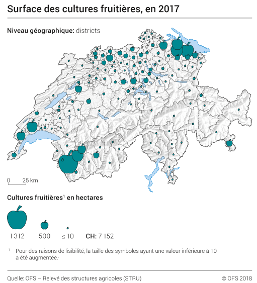Surface des cultures fruitières