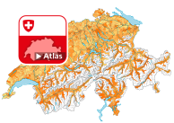 Ménages d'une personne