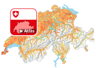 Taille moyenne des ménages