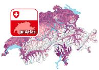 Anteil Einfamilienhäuser am Gebäudebestand mit Wohnnutzung