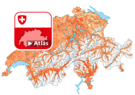 Anteil Wohnungen mit 3-4 Zimmern am gesamten Wohnungsbestand