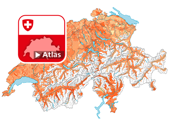 Anteil Wohnungen mit 3-4 Zimmern am gesamten Wohnungsbestand, 2017