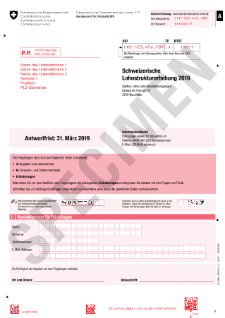 Fragebogen - Schweizerische Lohnstrukturerhebung 2018