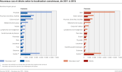 Nouveaux cas et décès selon la localisation cancéreuse, 2011-2015