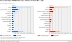 Neuerkrankungen und Sterbefälle nach Kreblokalisation, 2011-2015