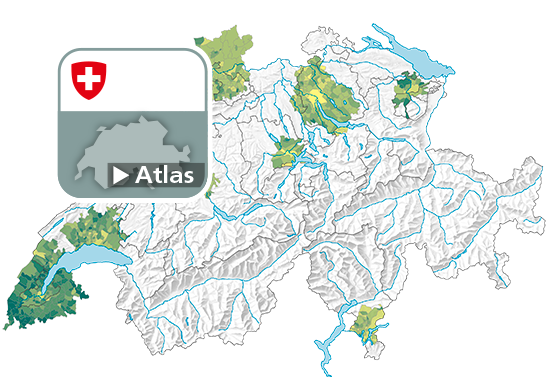 Rapport de dépendance des jeunes, en 2016