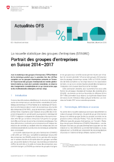 La nouvelle statistique des groupes d'entreprises (STAGRE)