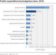 Public expenditure by budgetary item