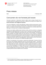 Consumers do not foresee job losses