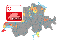 Strafgesetzbuch (StGB): Häufigkeitszahl Raub (Art. 140)