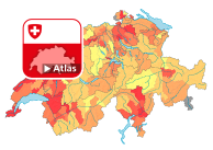 Strafgesetzbuch (StGB): Häufigkeitszahl Gewaltstraftaten