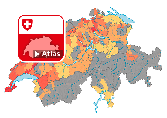 Strafgesetzbuch (StGB): Häufigkeitszahl Betrügerischer Missbrauch einer Datenverarbeitungsanlage (Art. 147), 2018