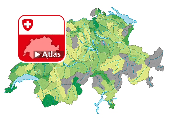 Ausländergesetz (AuG): Häufigkeitszahl der Straftaten, 2018