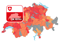 Code pénal (CP): fréquence d'escroquerie (Art. 146)