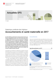 Accouchements et santé maternelle en 2017