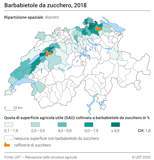 Barbabietole da zucchero