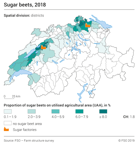 Sugar beets