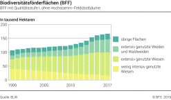 Biodiversitätsförderflächen (BFF) - BFF mit Qualitätsstufe I, ohne Hochstamm-Feldobstbäume - Tausend Hektaren