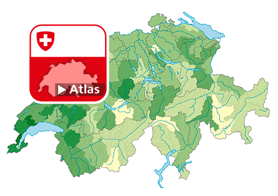 Rapport de dépendance des jeunes, en 2017