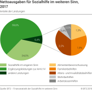 Nettoausgaben für Sozialhilfe im weiteren Sinn
