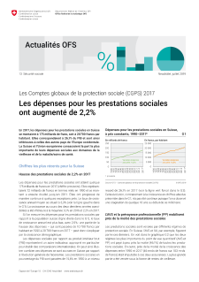 Les Comptes globaux de la protection sociale (CGPS) 2017
