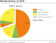 Récolte de bois