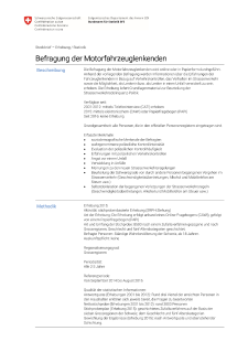 Befragung der Motorfahrzeuglenkenden