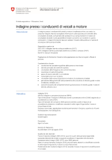 Indagine presso i conducenti di veicoli a motore