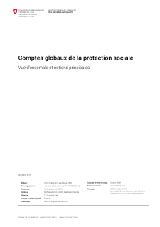 Comptes globaux de la protection sociale: Vue d'ensemble et notions principales
