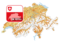 Einpersonenhaushalte