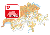 Durchschnittliche Haushaltsgrösse