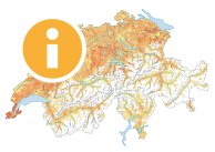 Durchschnittliche Haushaltsgrösse